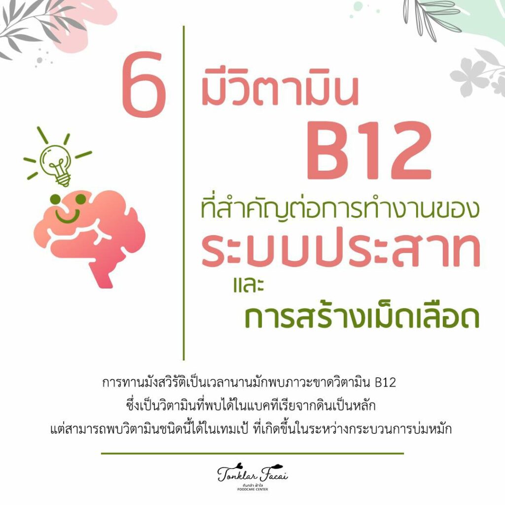 วิตามิน B12